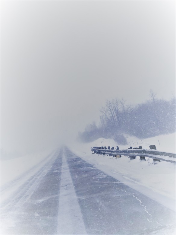 Winter Road (3)